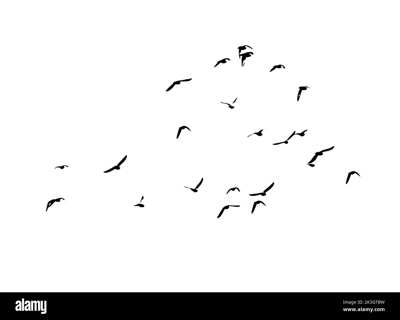 A flock of flying birds. Free birds. Vector illustration Stock Vector