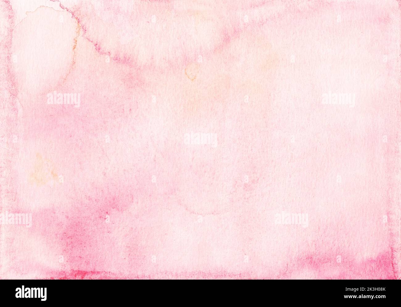 Watercolor light pink background painting. Watercolour pastel rose