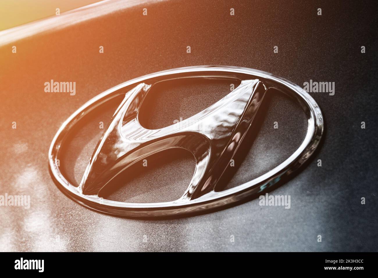 Brand name on the luggage cover of the Korean car Hyundai Stock Photo ...