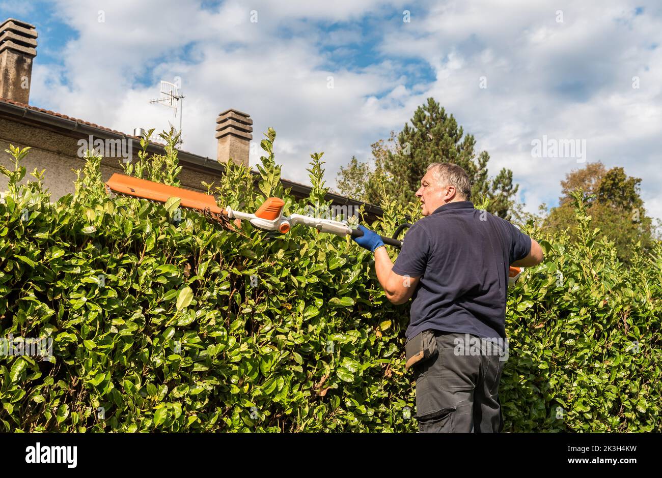 Mature man cuting hedge with an electric hedge trimmer in the garden. Stock Photo