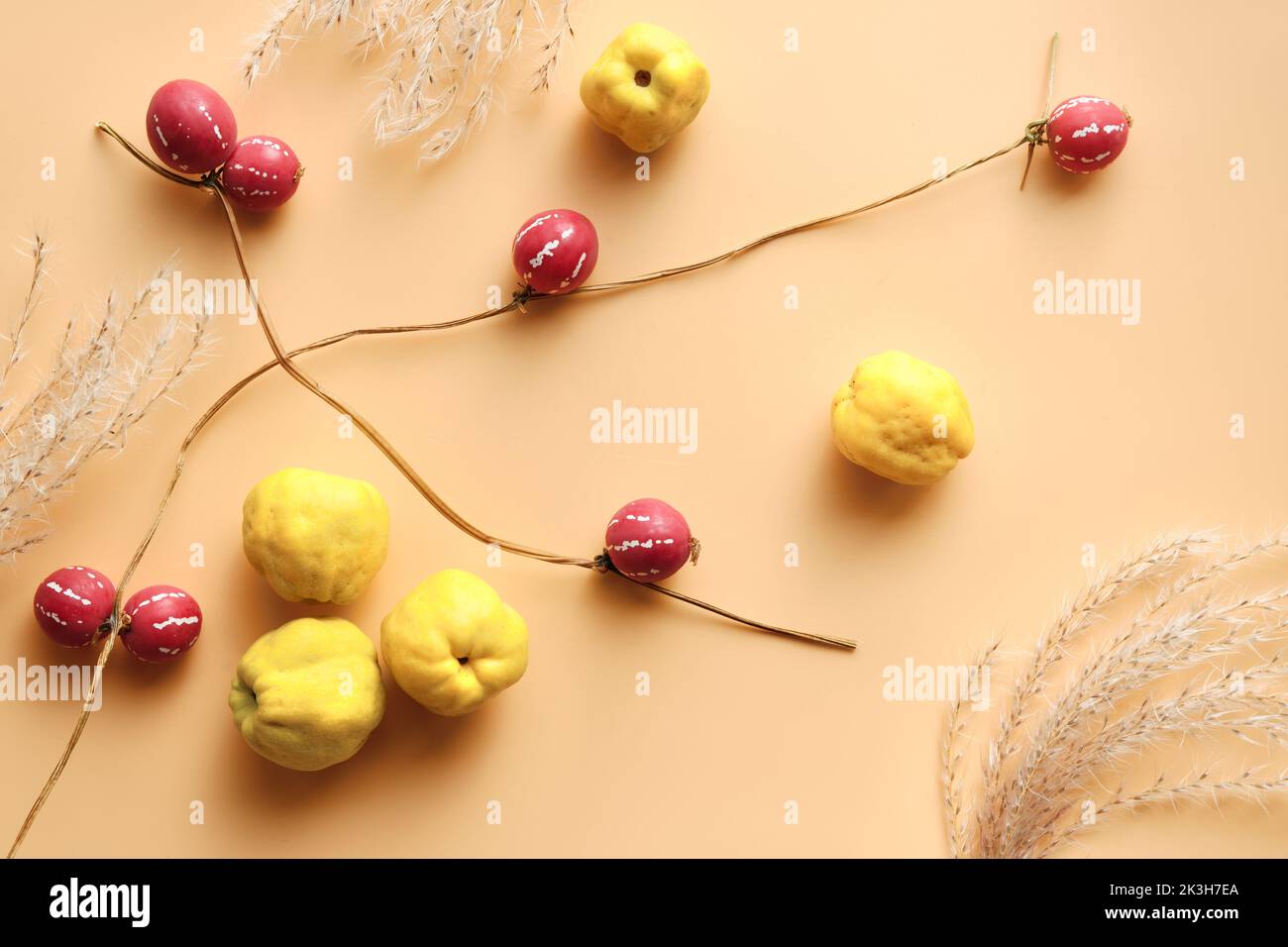 Autumntime yellow and orange background with tiny orange pumpkins, pampas grass and ripe fresh quince fruits . Flat lay, top view on orange paper. Stock Photo