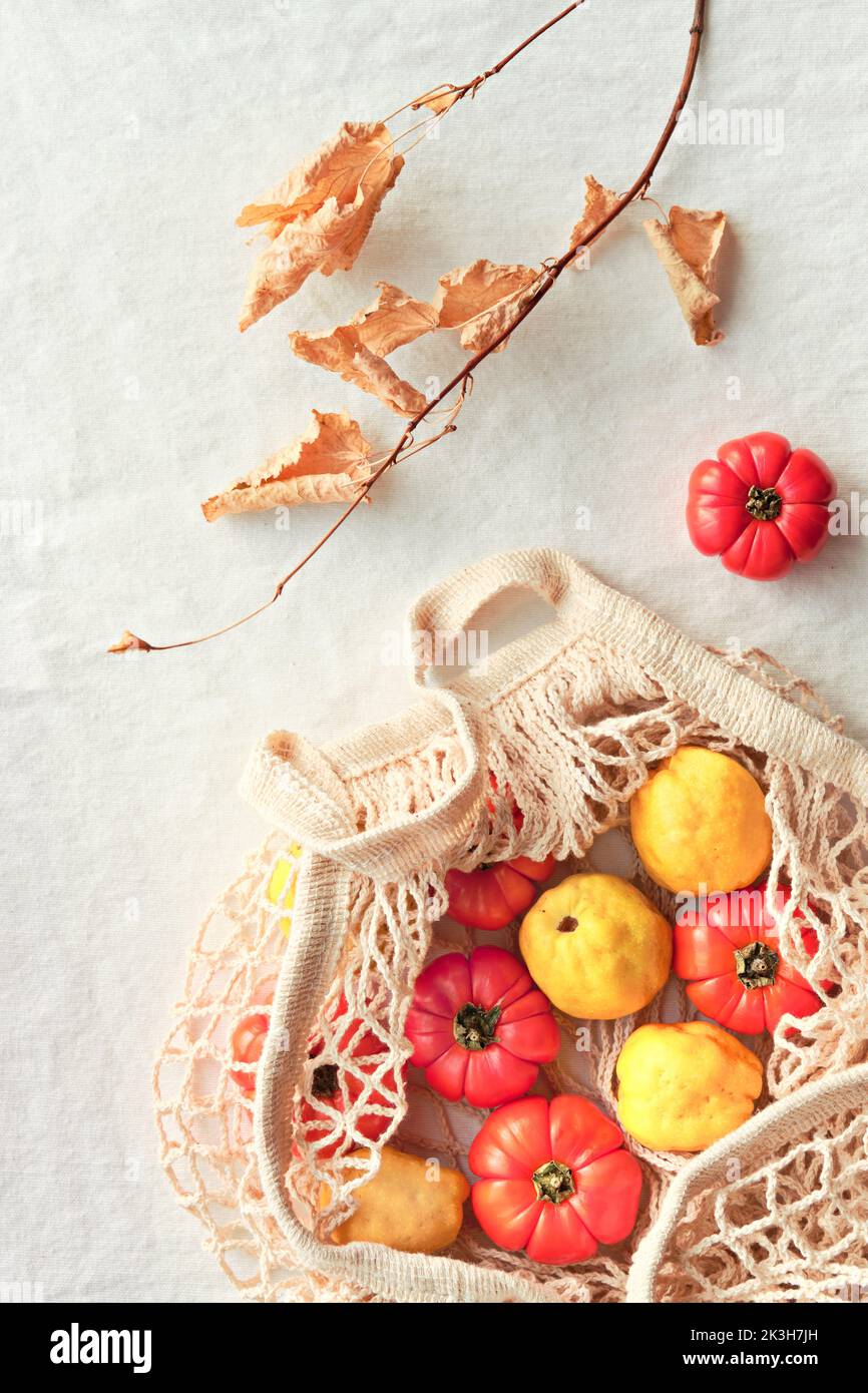 Tiny orange pumpkins and vibrant yellow quince in off white, cream color mesh bag or string bag. Autumn, Fall flat lay on white table with dry Autumn Stock Photo