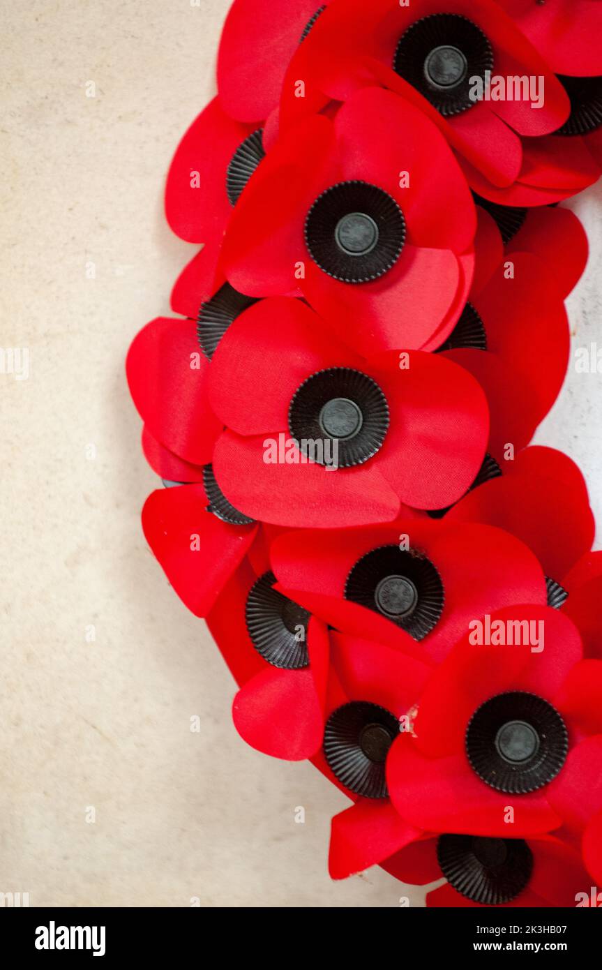 Poppies on Remembrance Day in England Stock Photo