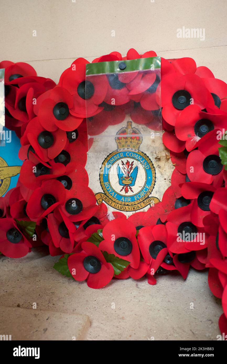 Poppies on Remembrance Day in England Stock Photo - Alamy