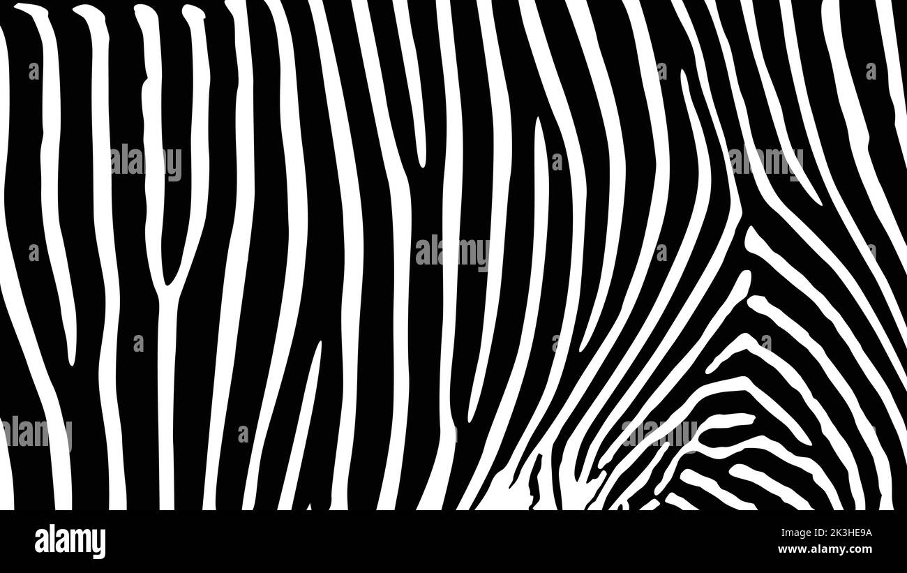 Vector illustration of seamless zebra pattern, Zebra Texture Vector. Black Stripes. Camouflage Background Stock Vector