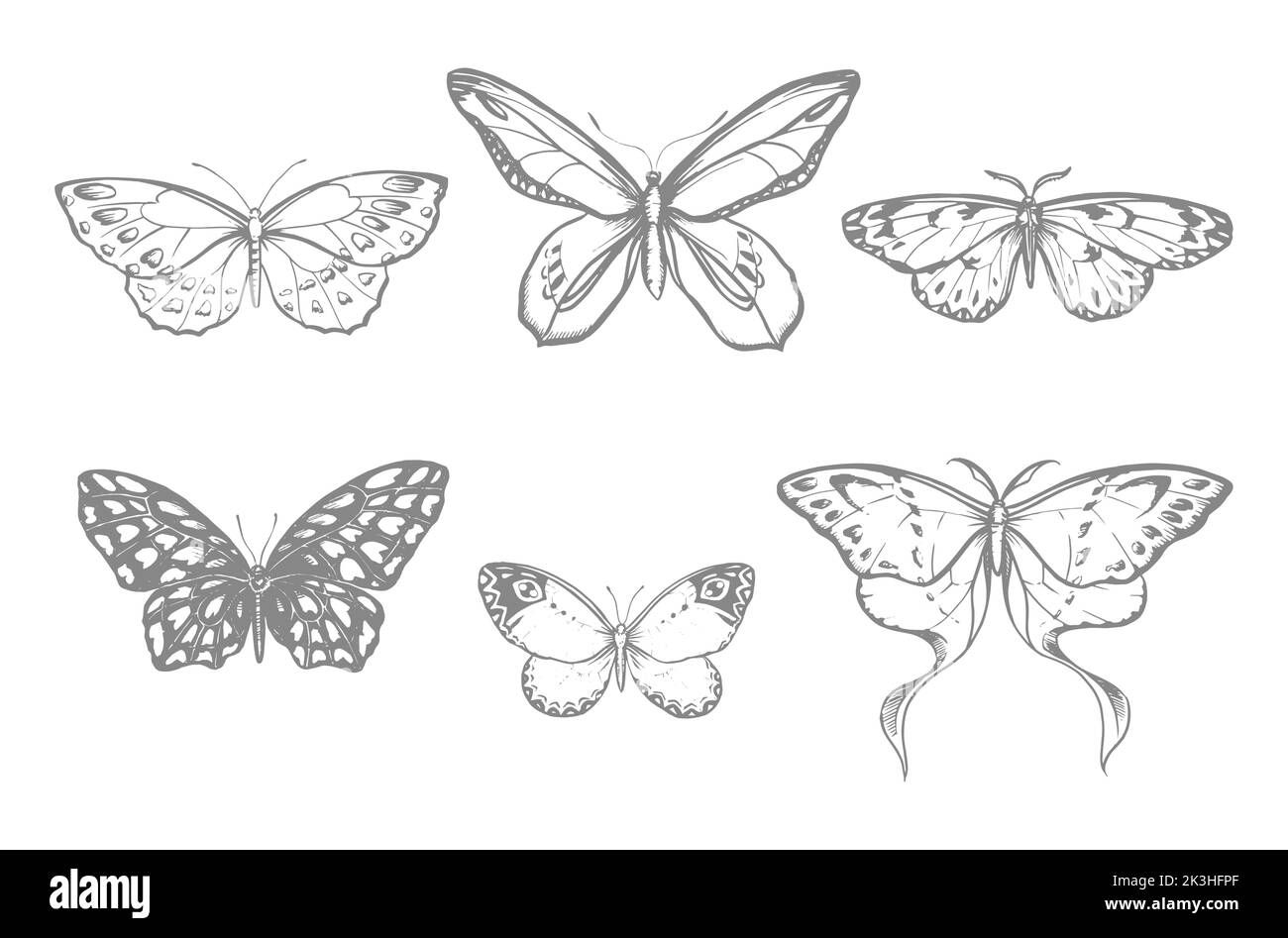 Set with butterflies, vector stylized illustrations, line drawing Stock Vector