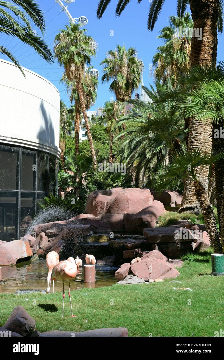 Flamingo Hotel located on the Las Vegas Strip,Nevada,USA Stock Photo