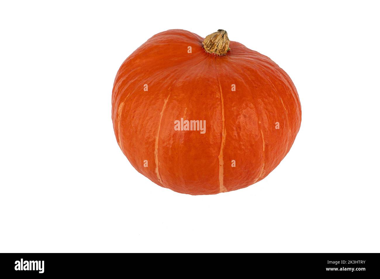 Close-up of an isolated hokkaido pumpkin against a white background Stock Photo