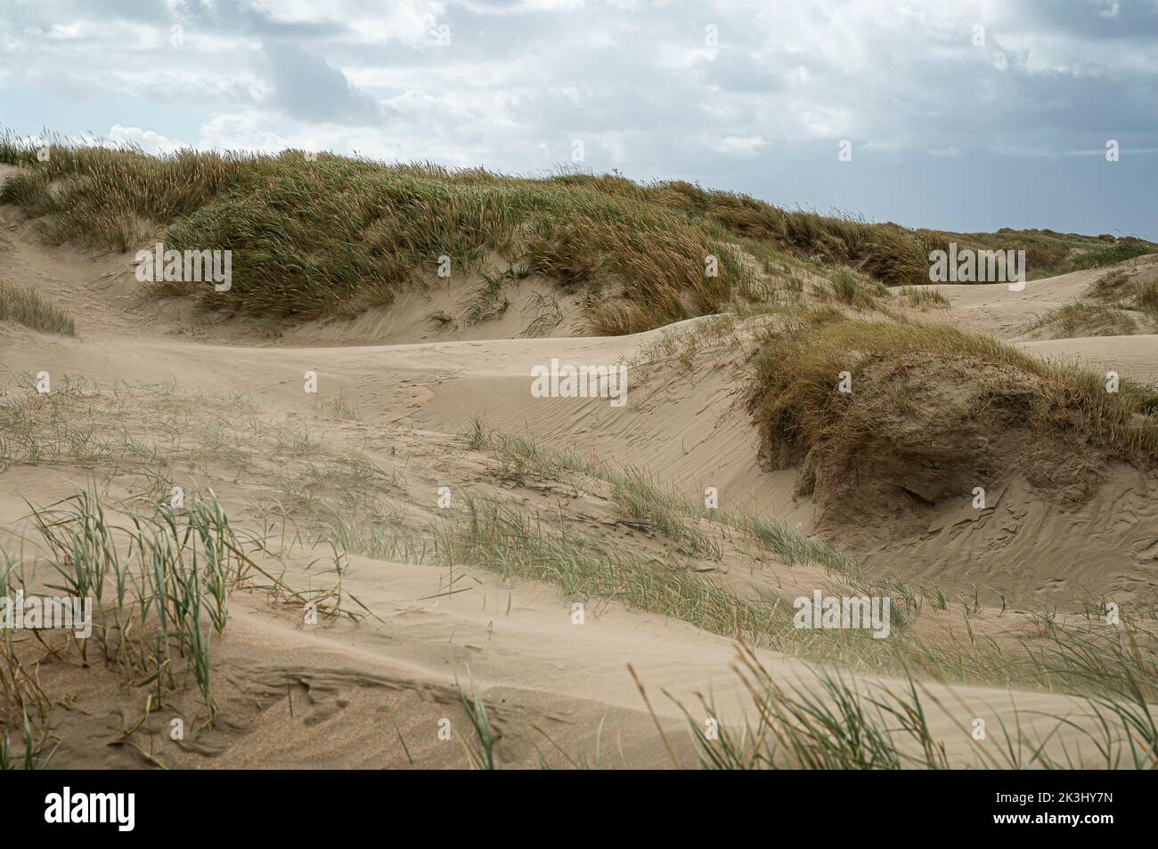 scenic sand dunes at Lakolk on the island Rømø, Denmark, September 14, 2022 Stock Photo