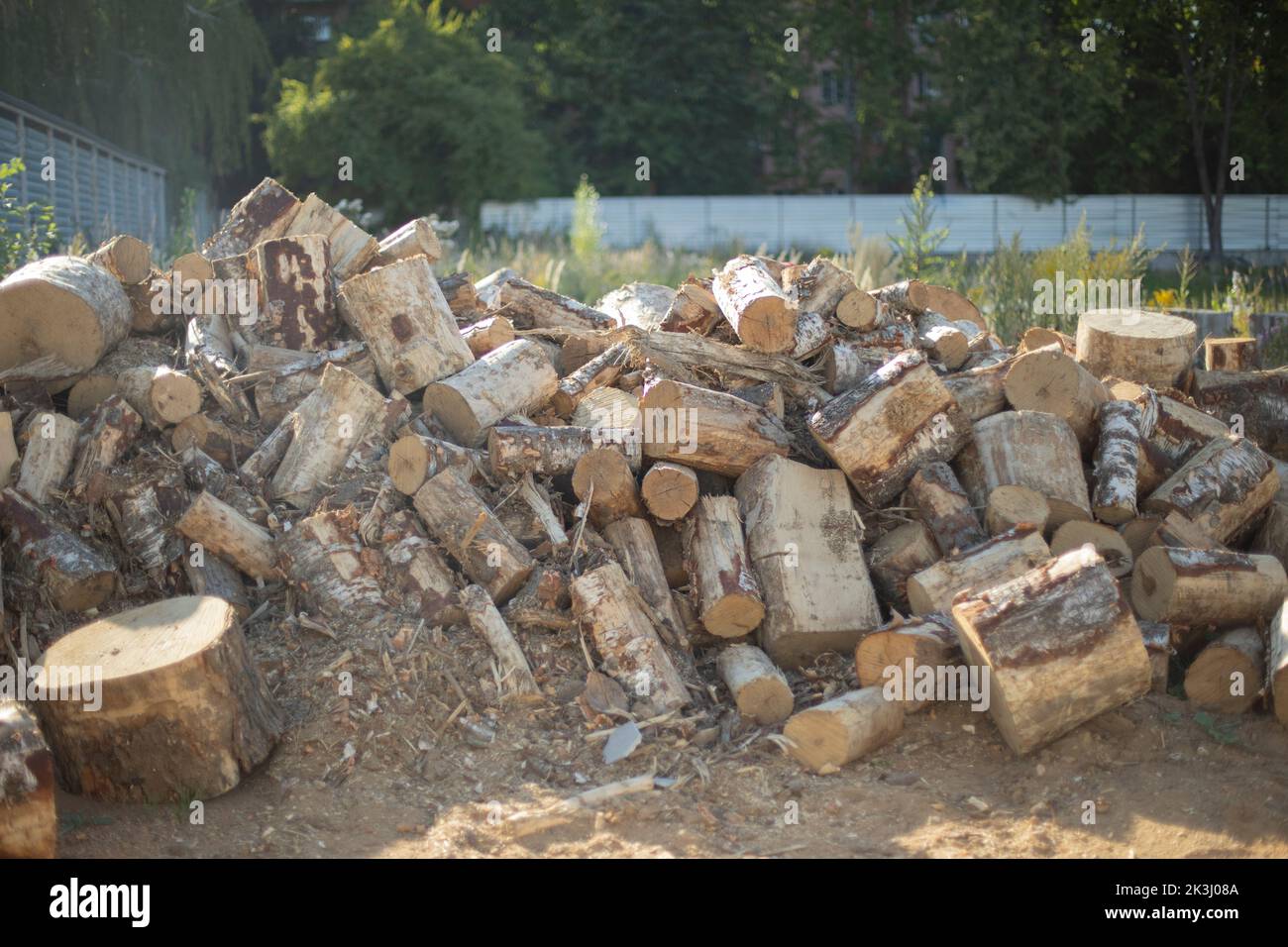 Sawn wood. Wood stumps. Heap of logs. Dry fuel. Sawmill parts. Stock Photo