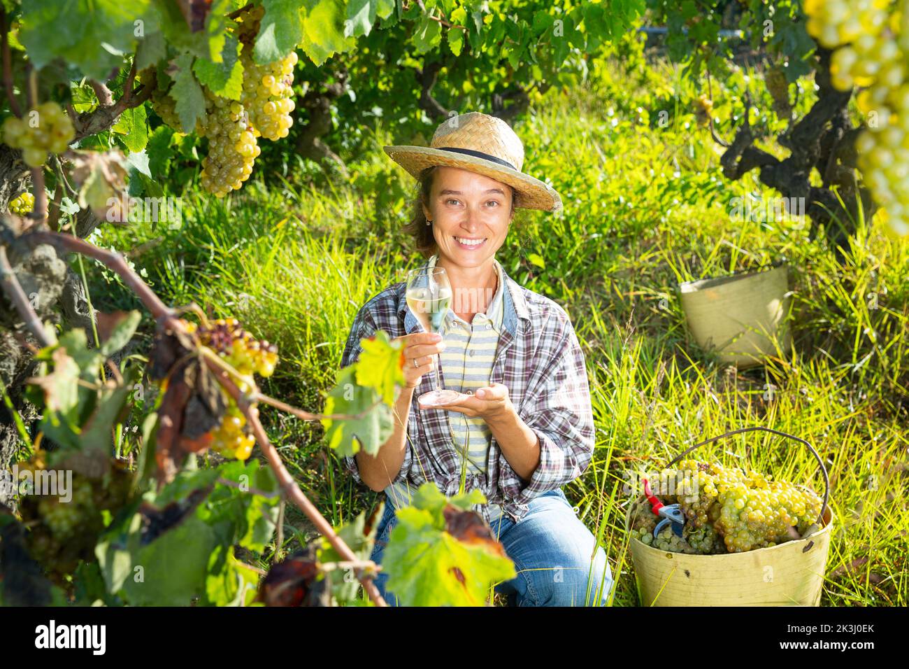 Female winemaker inviting to tasting wine in vineyard Stock Photo - Alamy