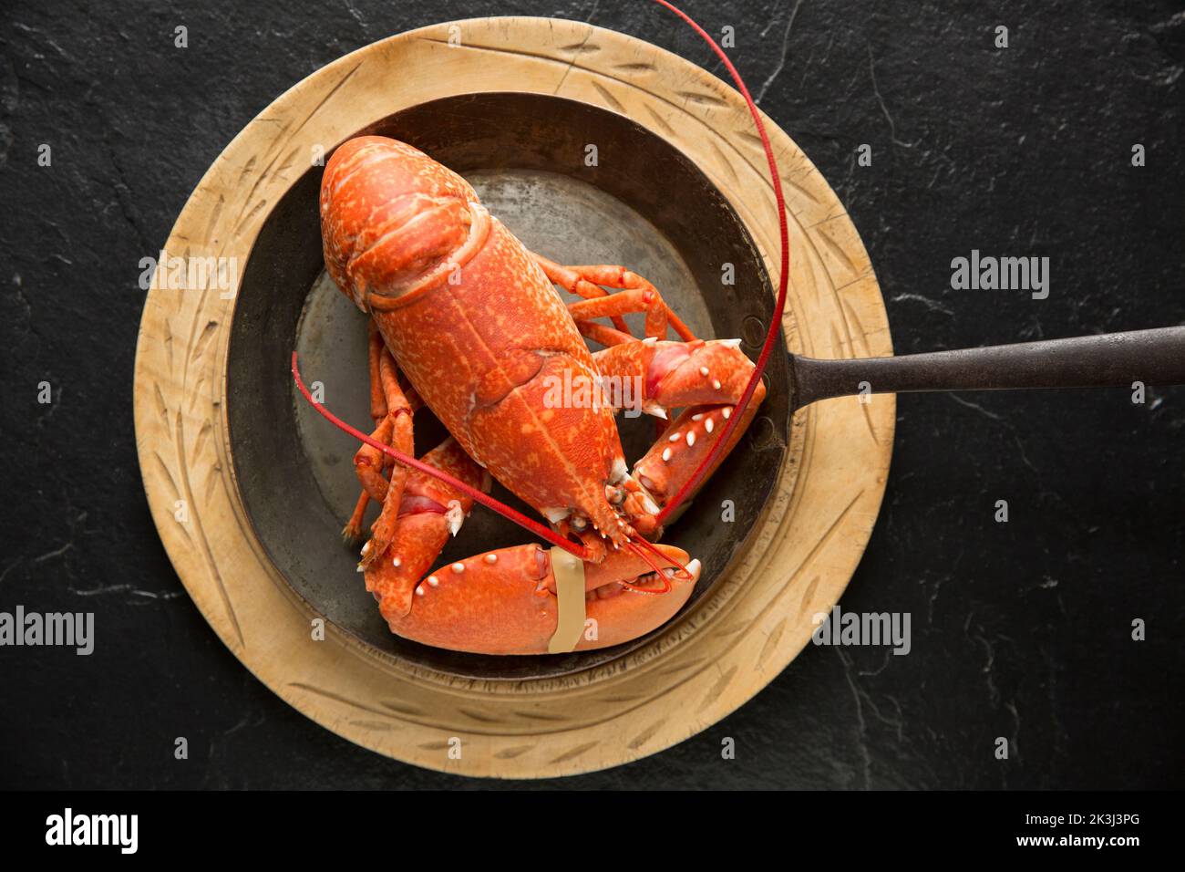 A cooked lobster, Homarus gammarus, displayed in an old metal pan on a wooden chopping board. Black background. Dorset England UK GB Stock Photo