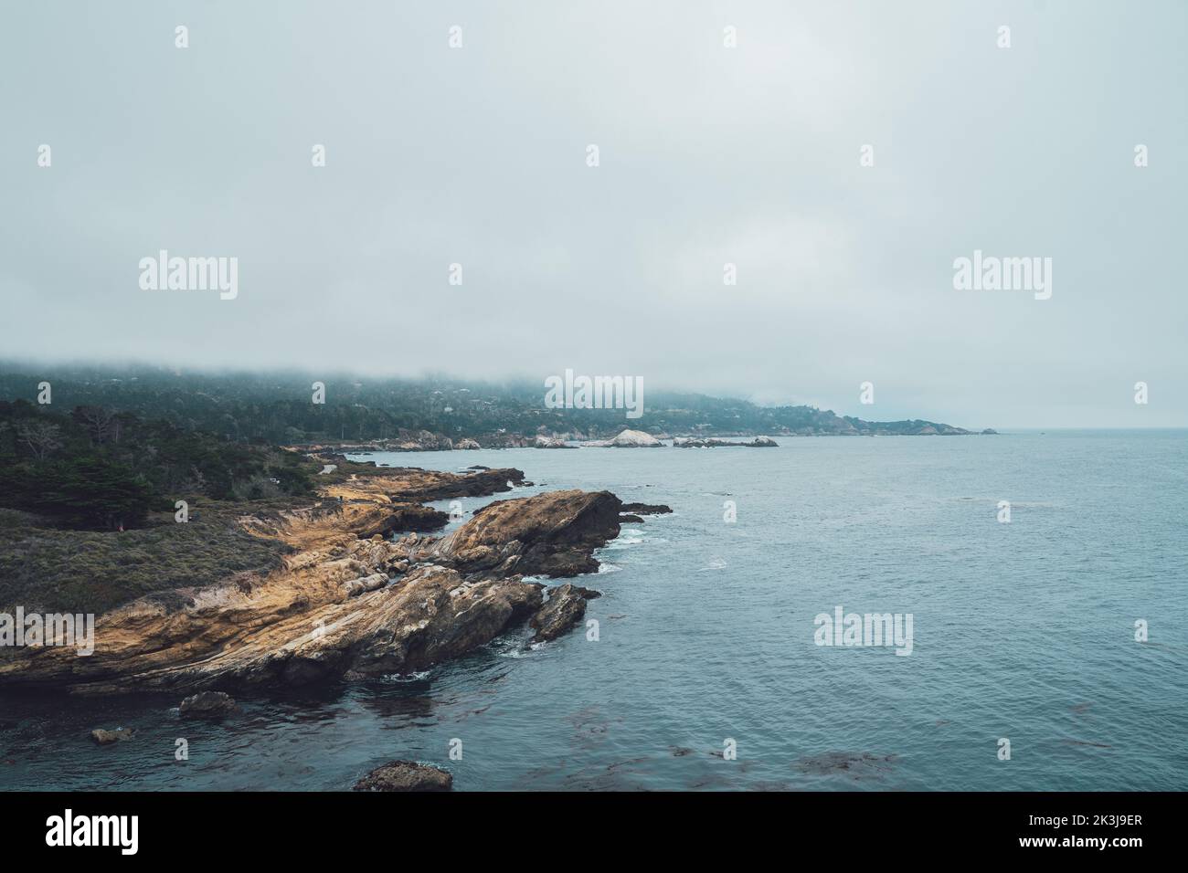 Point Lobos Sea lion cove on a misty day. Dramatic nature ocean cliffs