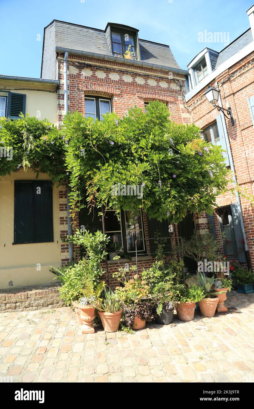 Town house with wisteria on outskirts of old town, Rue Commandant J