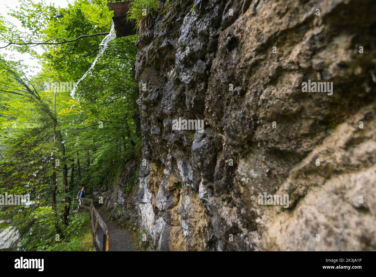 Water streaming down along a mountain wall at the Rappenlochschlucht near Dornbirn, Austria Stock Photo