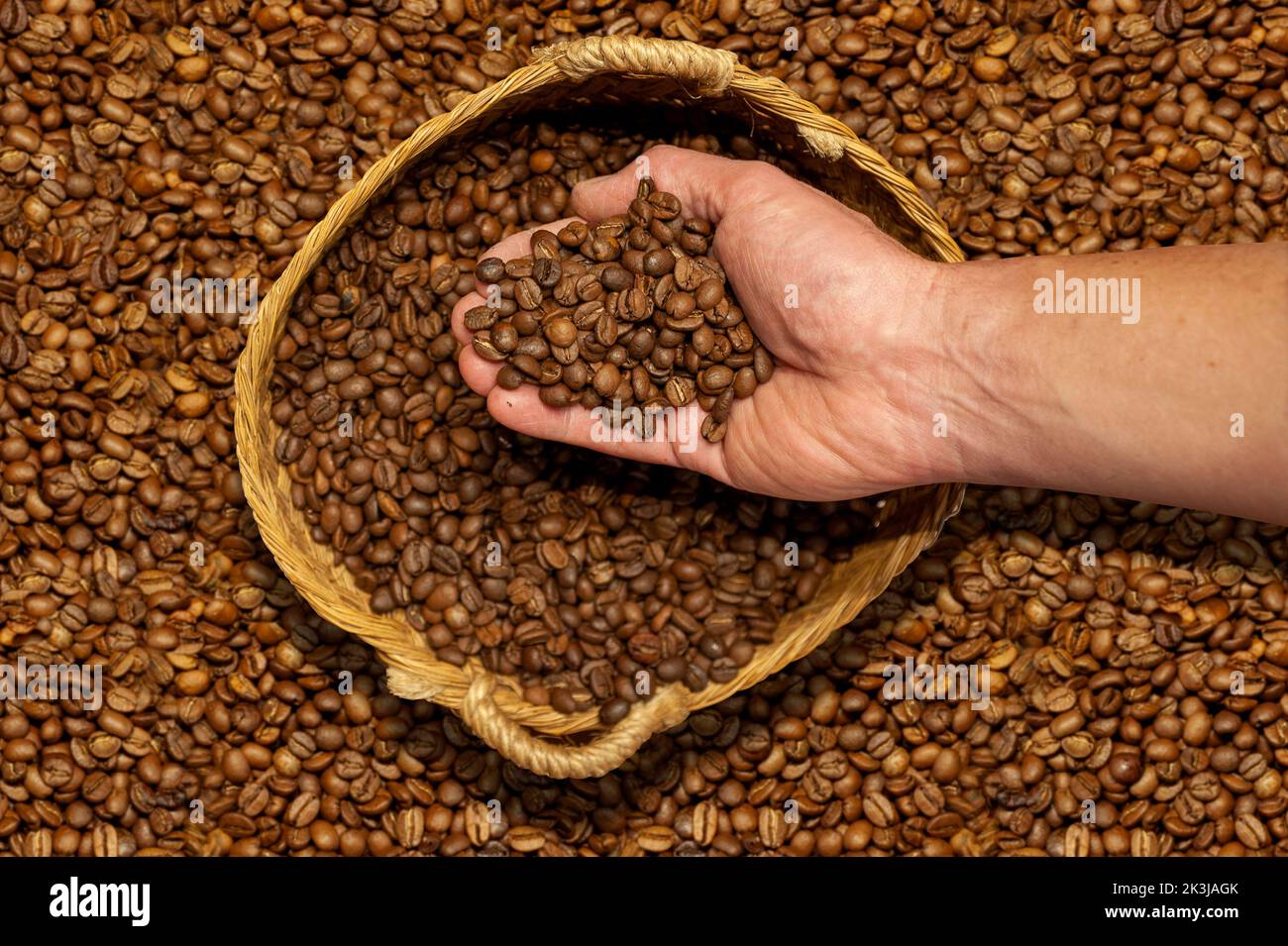 Tazas de Delta meia de leite (café con leche), Porto (Porto), Portugal  Fotografía de stock - Alamy