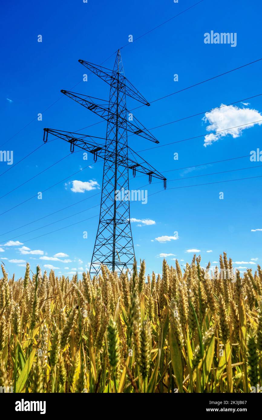 High voltage power lines in a green landscape Stock Photo