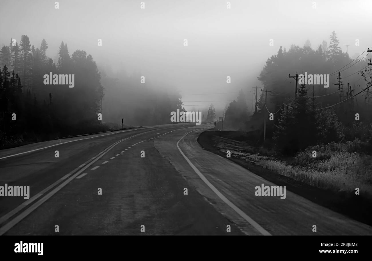 Early autumn morning fog on Highway 60 in Algonquin Park, Canada Stock
