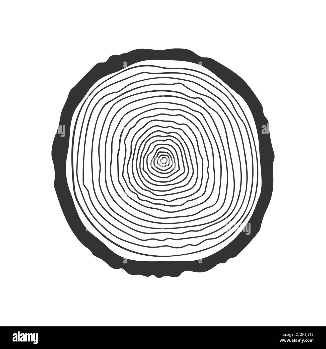 Tree rings icon. Hand drawn trunk cross section. Dendrochronology