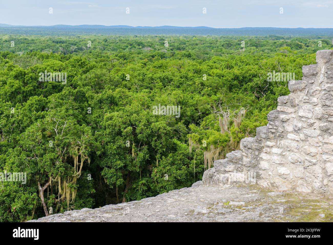 View of the jungle from the top of a pyramid, Calakmul, Mayan archaeological site, Campeche state, Mexico Stock Photo