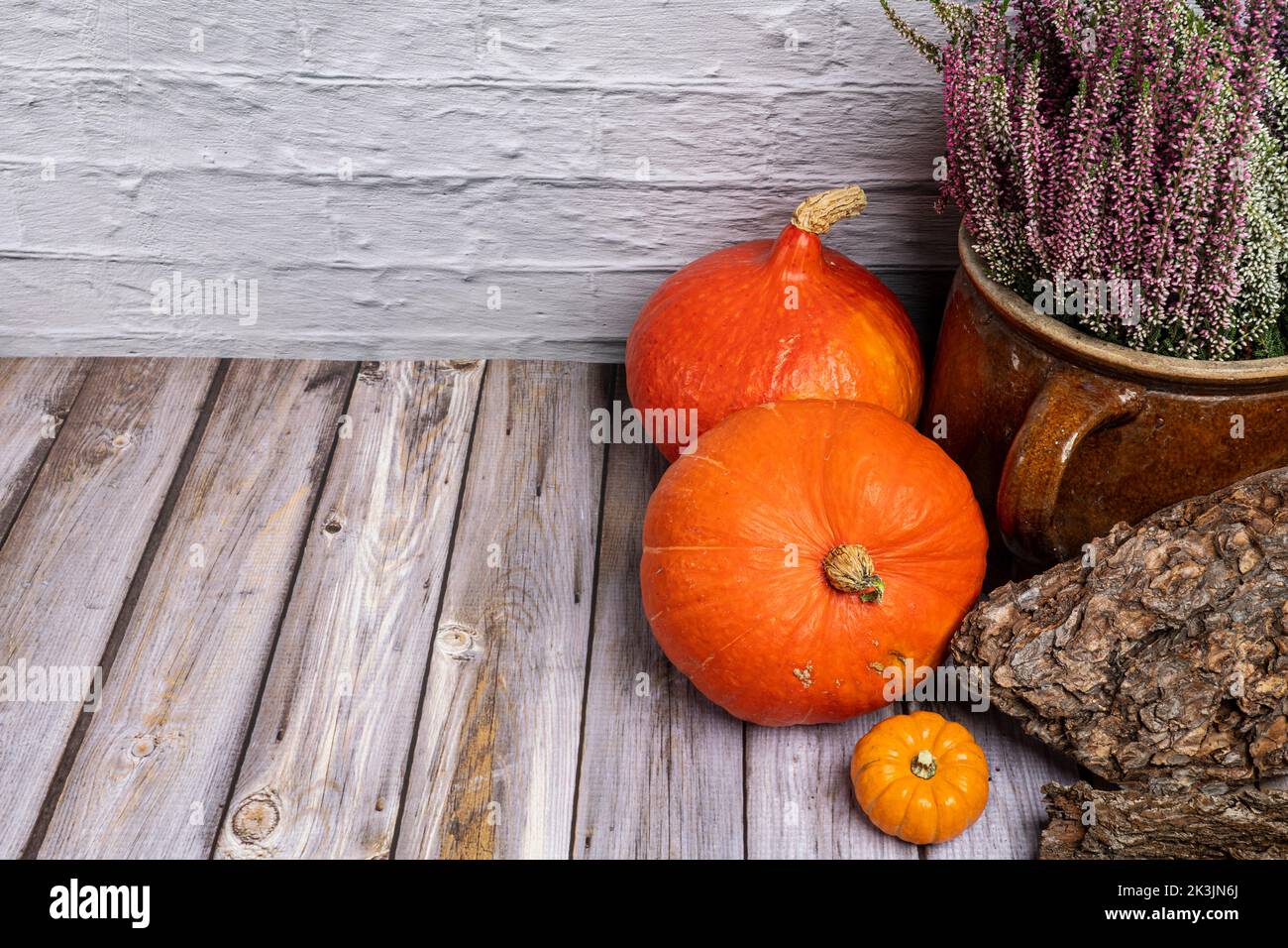 Still life with several Hokkaido pumpkins and a clay jar with winter heather Stock Photo