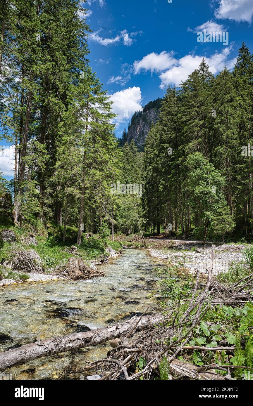 A river in the mountains in Radstatter Tauern in the Kleinarl Valley Stock Photo