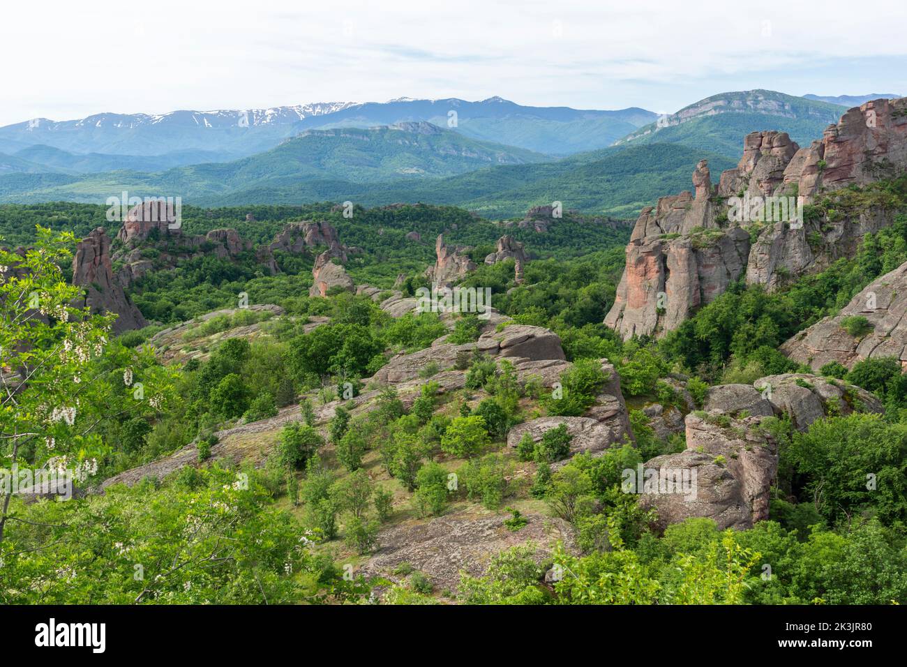Amazing Landscape of Belogradchik Rocks, Vidin Region, Bulgaria Stock ...