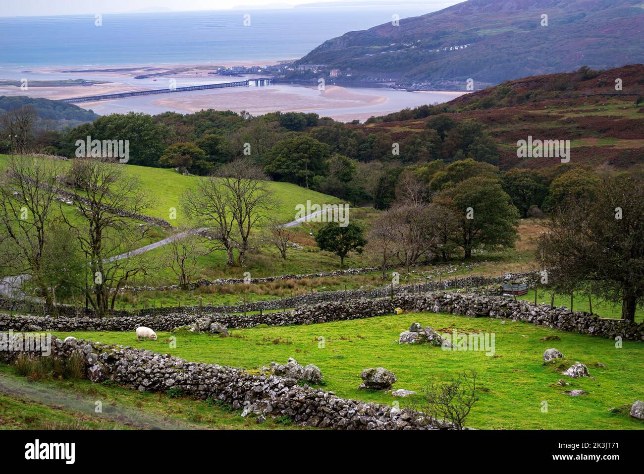 Walking on the hills near Arthog, Gwynned, Wales; view of the Mawddach estuary on an autumn afternoon Stock Photo