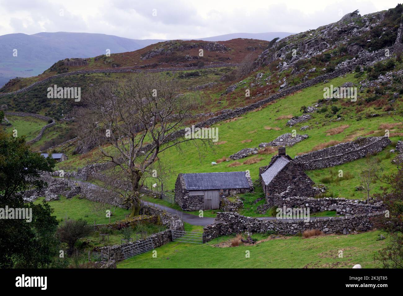 ARTHOG, WALES - OCTOBER 2nd, 2020: stone house and barn and dry stone walls, a typical Welsh landscape on a cloudy autumn afternoon, Gwynedd, Wales Stock Photo