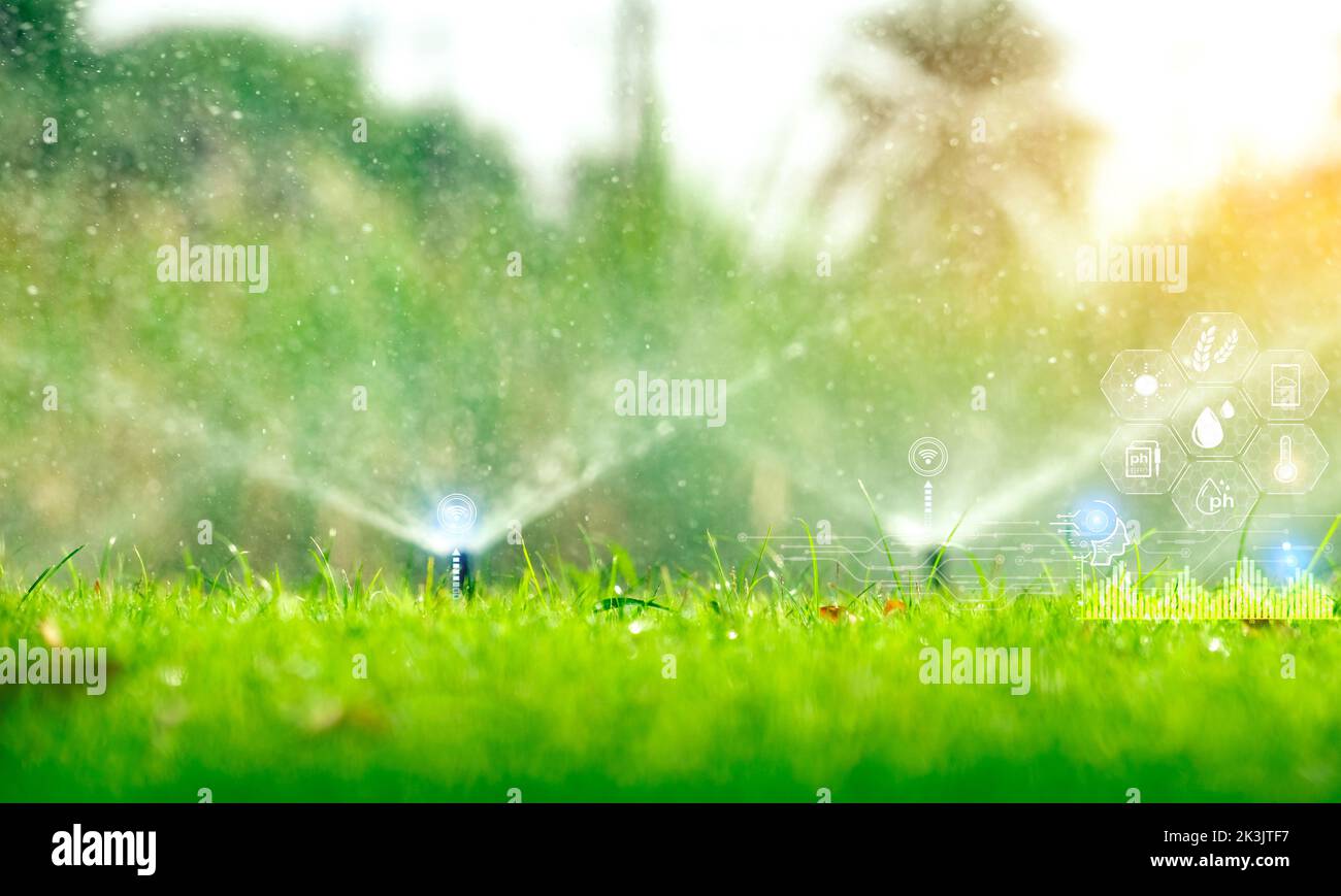 Automatic lawn sprinkler watering green grass and icon of smart farming concept. Smart agriculture with modern technology concept. Sustainable agri Stock Photo