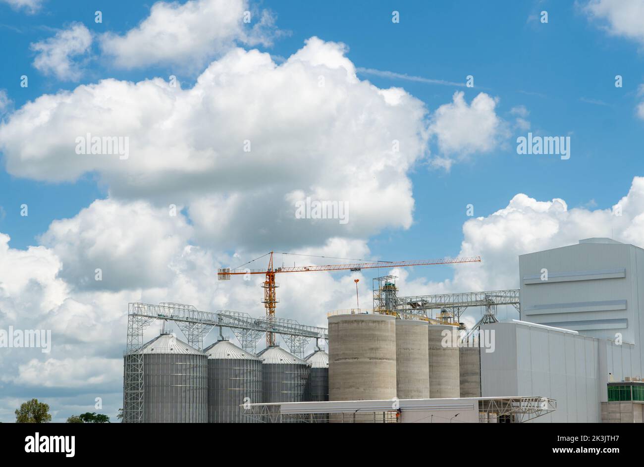 Animal feed factory construction site. Agricultural silo at feed mill factory. Tank for store grain and construction crane. Seed stock tower Stock Photo