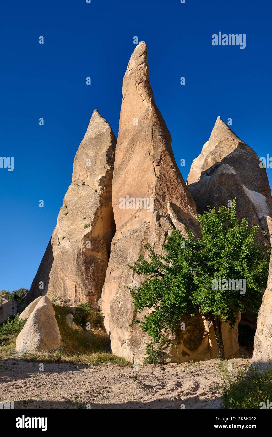 Picturesque landscape in western Pasaba Valley, Goreme, Cappadocia, Anatolia, Turkeyreme, Stock Photo