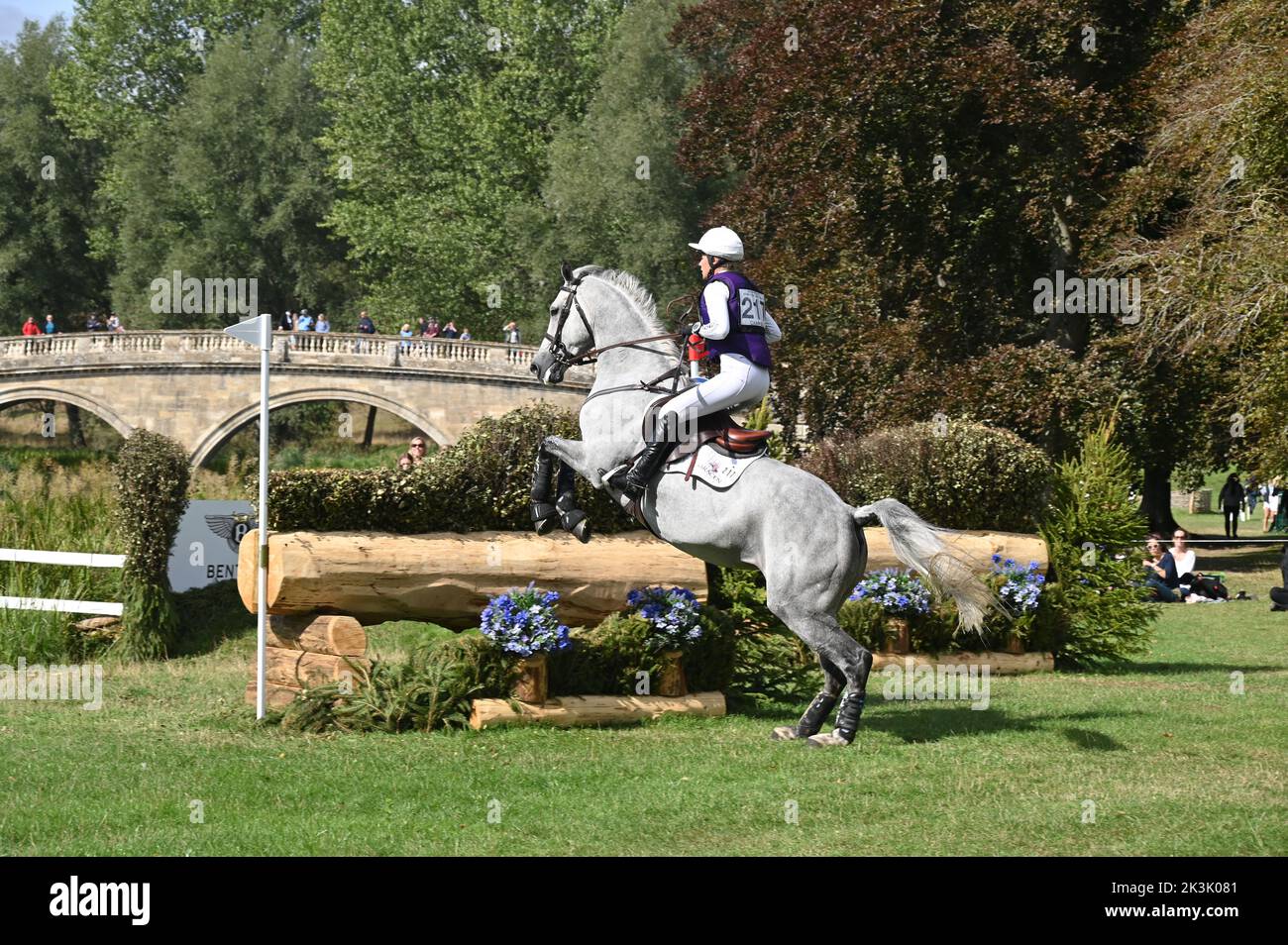Georgie Campbell on Darcy De La Rose, cross country phase of the CCI4*-S compettion, Blenheim Palace International Horse Trials, Blenheim Palace, Wood Stock Photo