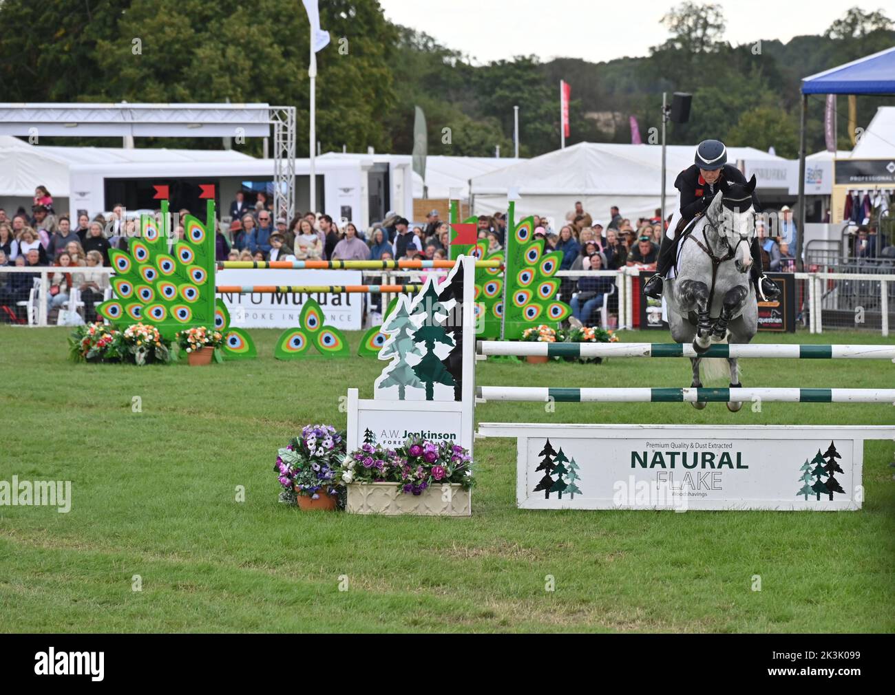 Gemma Stevens on Flash Cooley, show jumping phase of the CCI4*-L compettion, Blenheim Palace International Horse Trials, Blenheim Palace, Woodstock, O Stock Photo