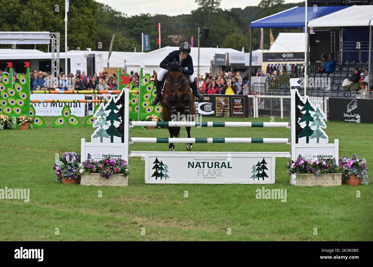 Elizabeth Power on Senza Fine, show jumping phase of the CCI4*-L compettion, Blenheim Palace International Horse Trials, Blenheim Palace, Woodstock, O Stock Photo