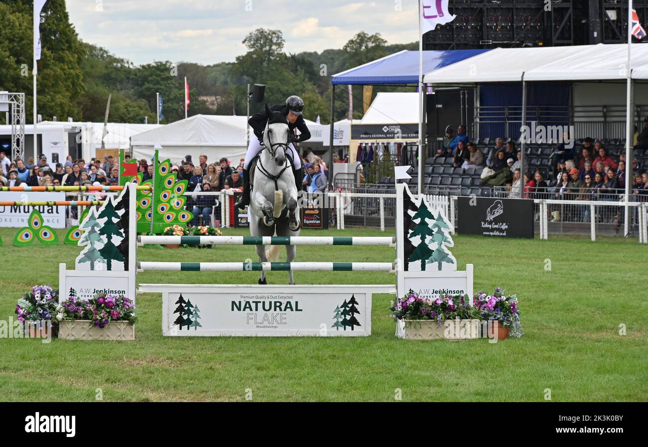 Dirk Schrade on Casino 80, show jumping phase of the CCI4*-L compettion, Blenheim Palace International Horse Trials, Blenheim Palace, Woodstock, Oxfor Stock Photo