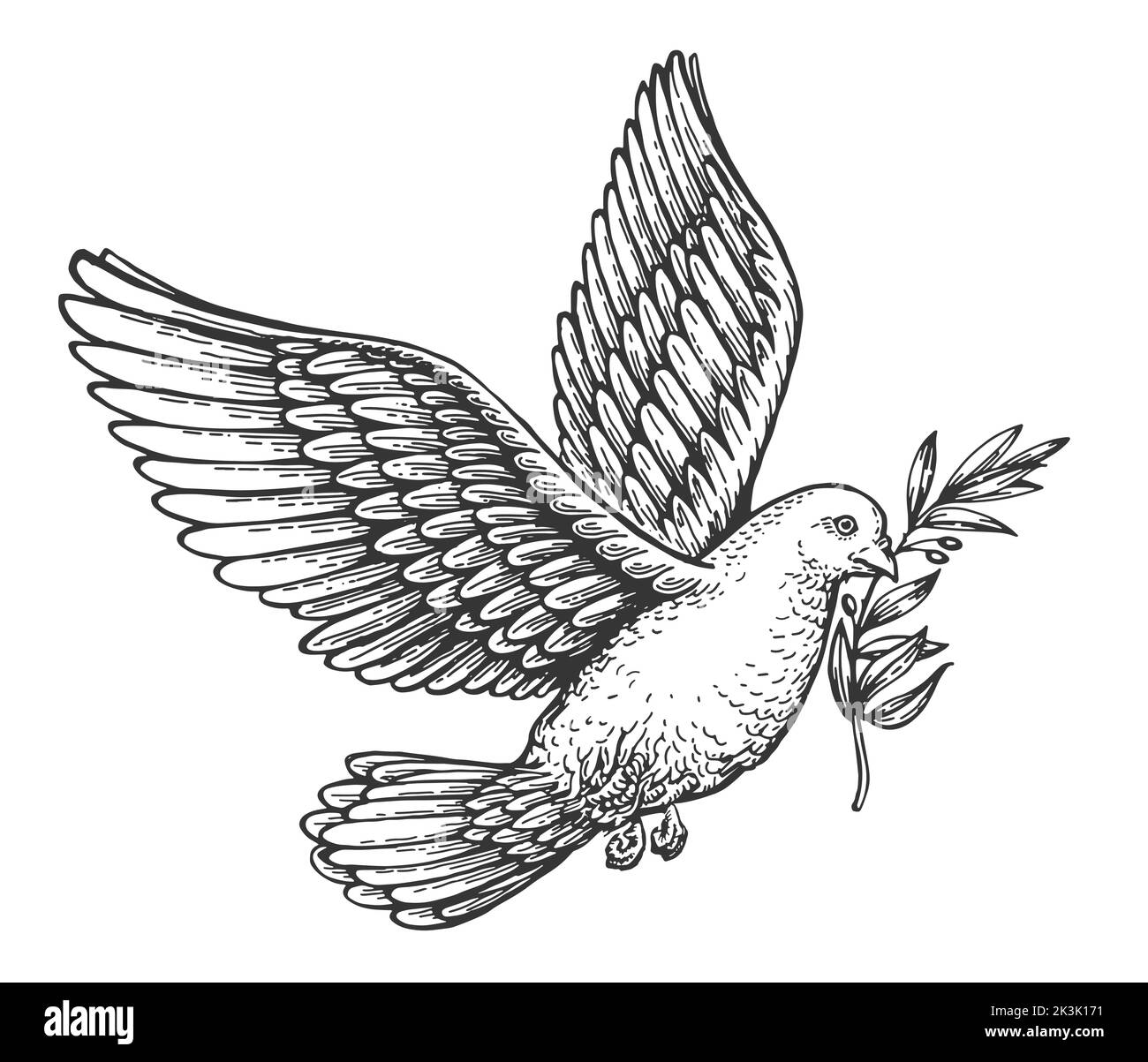 Flying peace dove with olive branch. Spiritual purity symbol sketch. Vector illustration in vintage engraving style Stock Vector