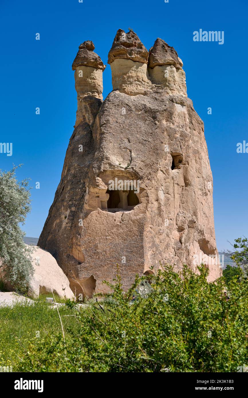Picturesque landscape of shaped sandstone rocks. Famous Fairy Chimneys or Multihead stone mushrooms in Pasaba Valley, Goreme, Cappadocia, Anatolia Stock Photo