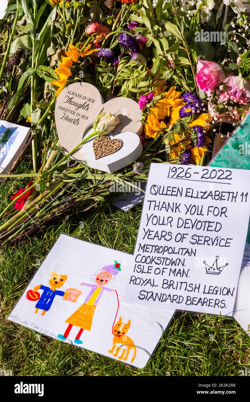 Metropolitan cookstown isle of man royal british legion standard