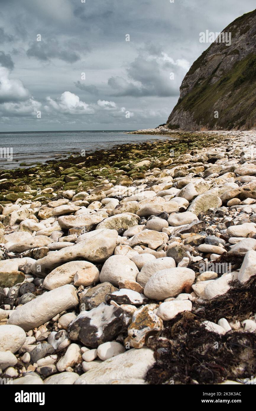 A vertical shot of white rocks on the shore of the beach on the Isle of Wight Stock Photo