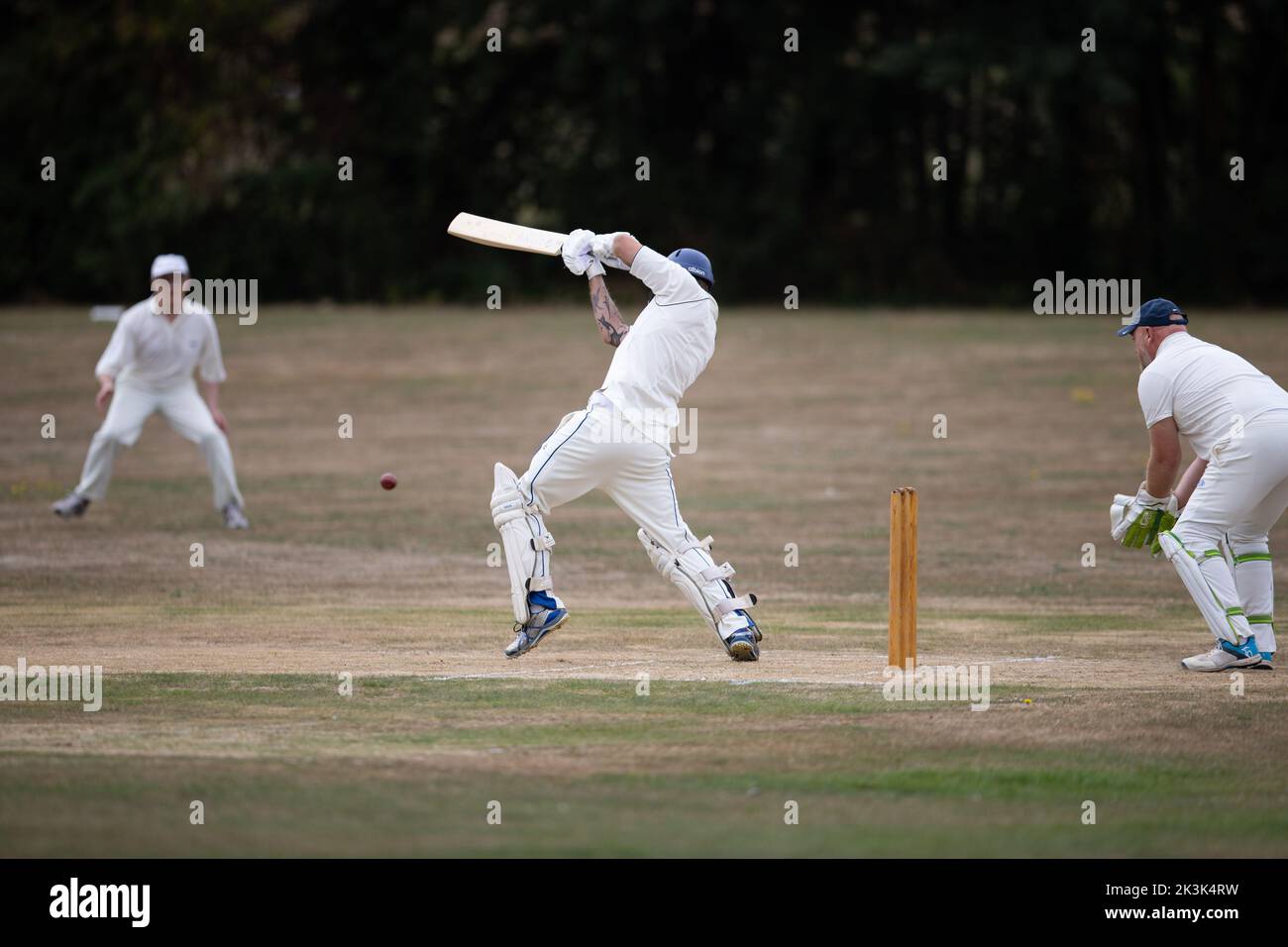 Cricket bowling & batting mens game Stock Photo Alamy