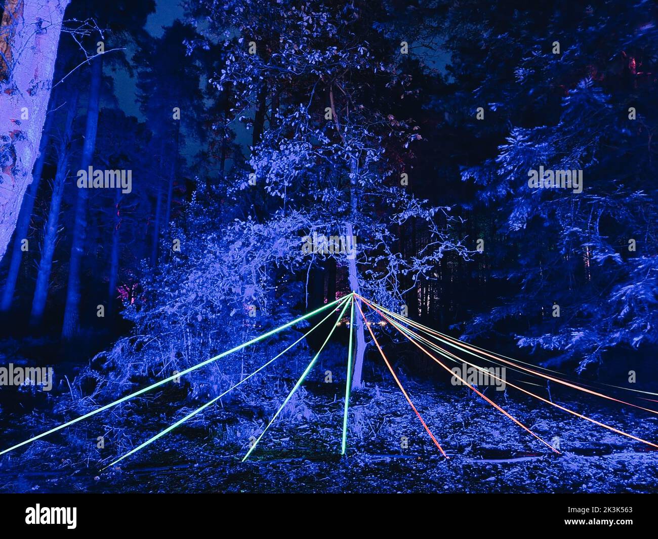 The neon light trails in the woods at night for a festival celebration Stock Photo