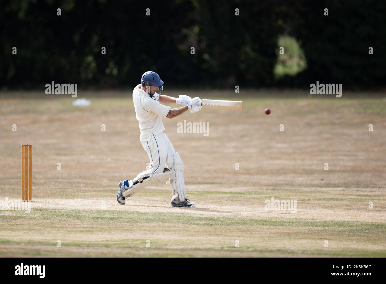 Cricket bowling & batting mens game Stock Photo Alamy