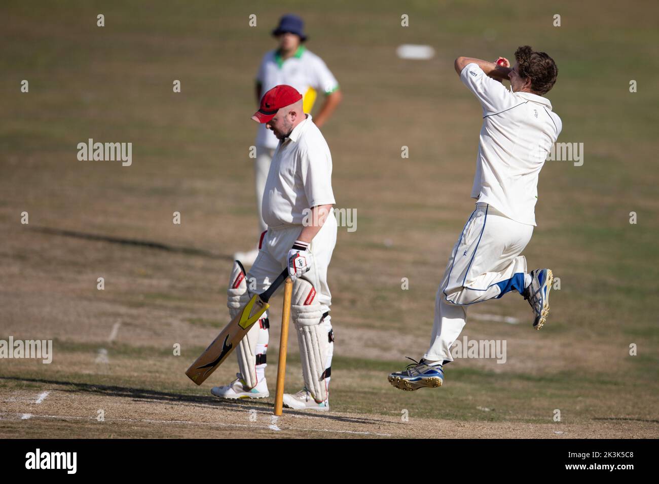 Cricket bowling & batting mens game Stock Photo Alamy
