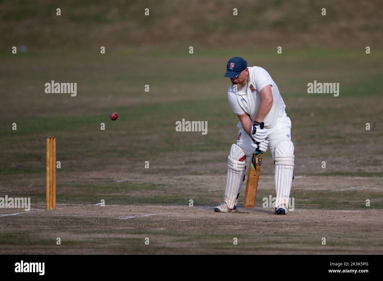 Cricket bowling & batting mens game Stock Photo Alamy