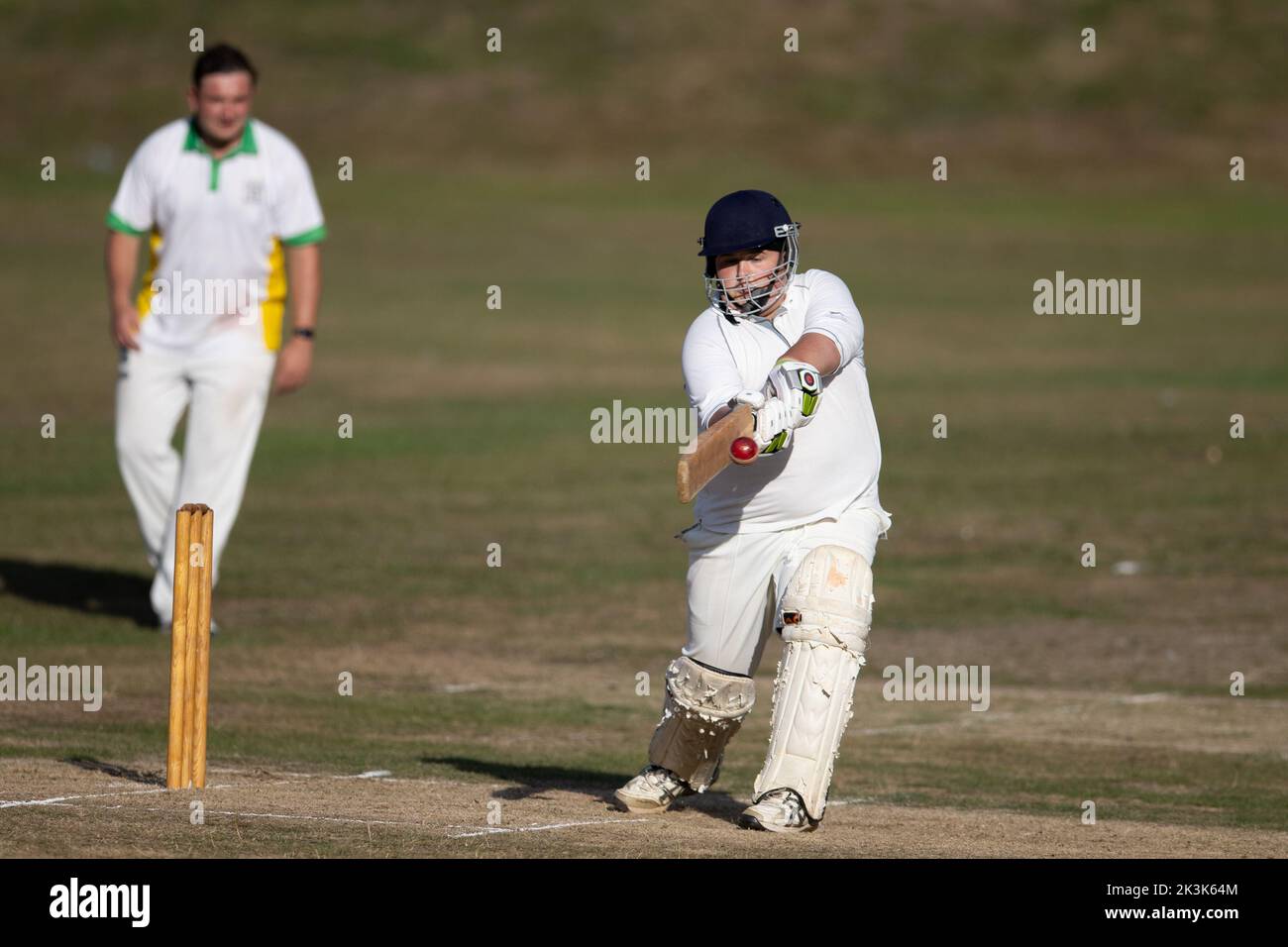 Cricket bowling & batting mens game Stock Photo Alamy