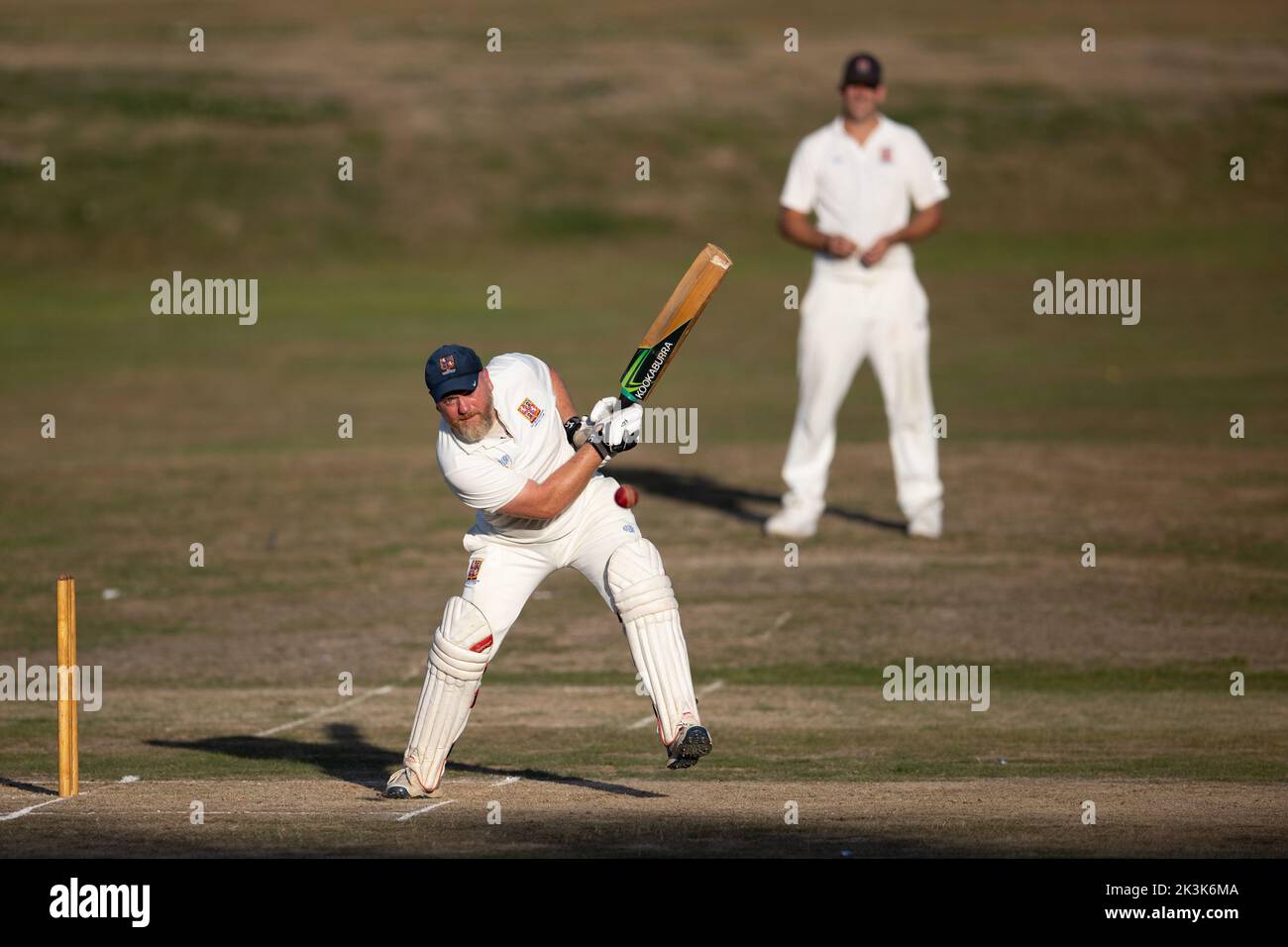 Cricket bowling & batting mens game Stock Photo Alamy