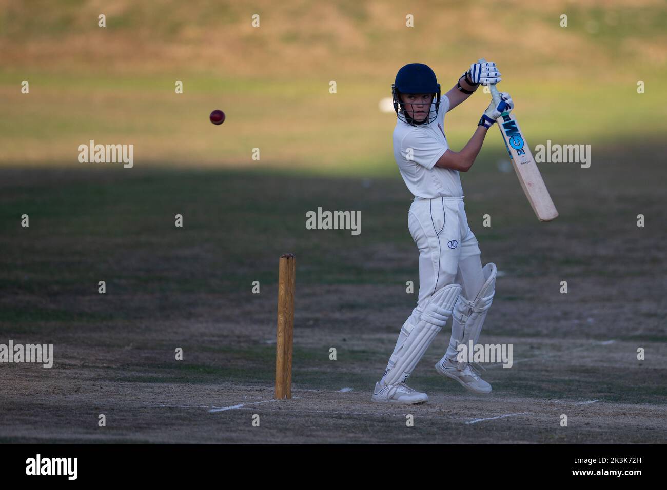 Cricket bowling & batting mens game Stock Photo Alamy
