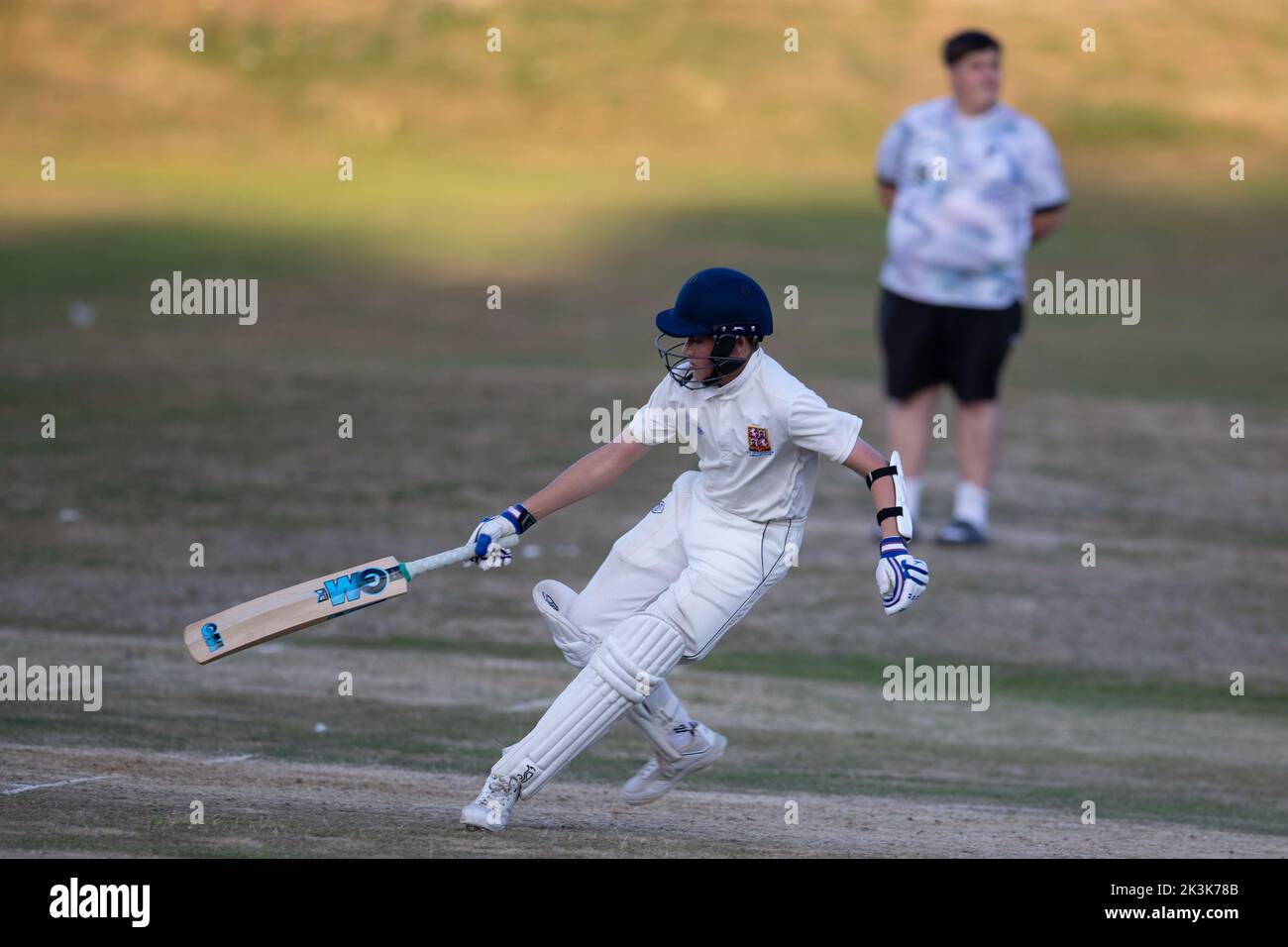 Cricket bowling & batting mens game Stock Photo Alamy