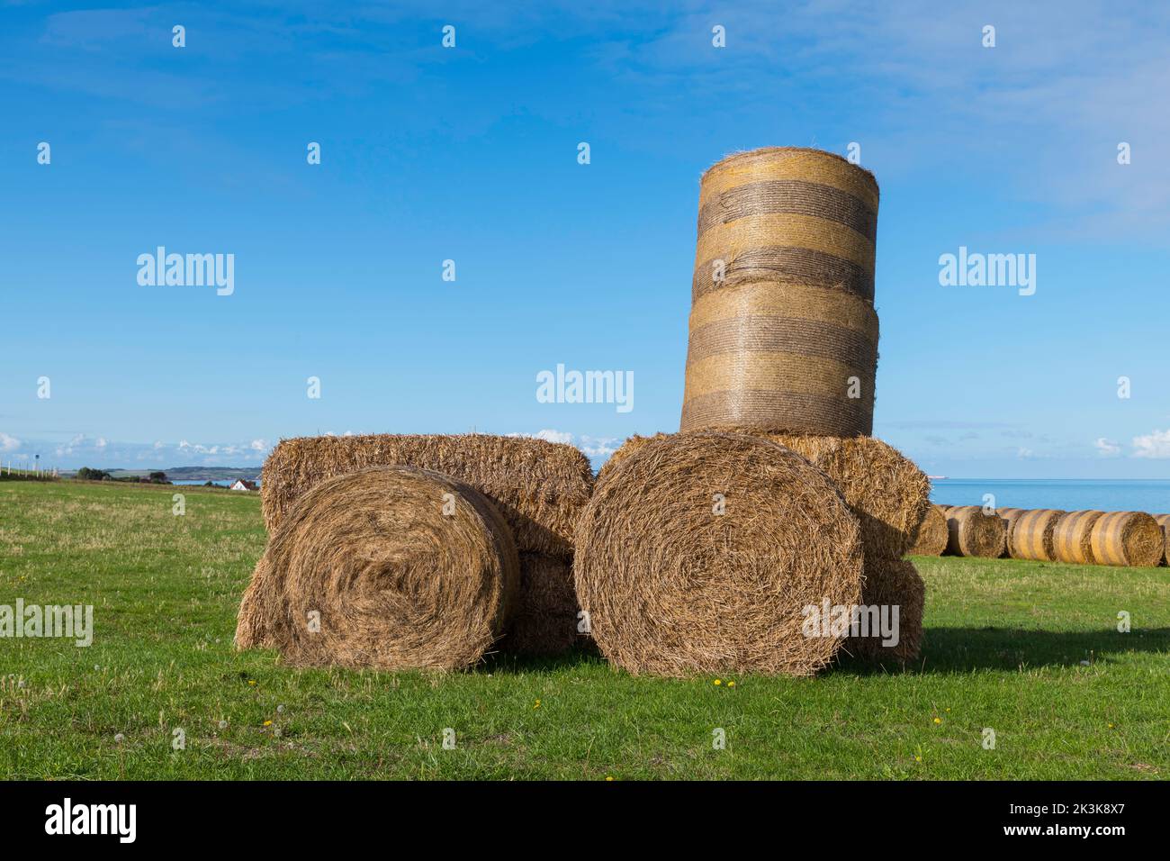 french landscape with lot of hay bales and the sea as background Stock Photo